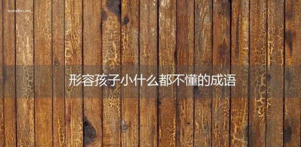 形容孩子小什么都不懂的成语
