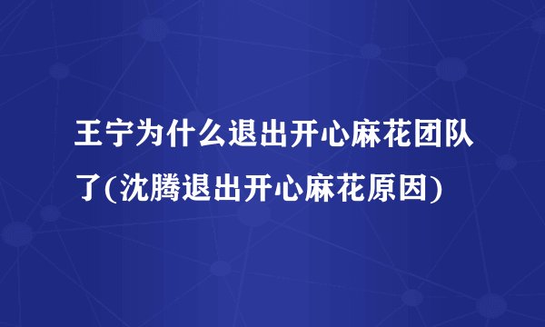 王宁为什么退出开心麻花团队了(沈腾退出开心麻花原因)