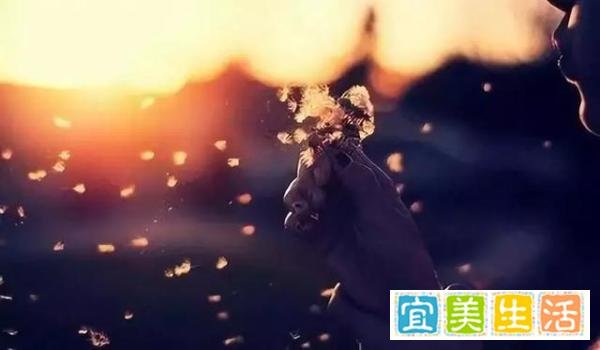 你的心态,决定你的状态