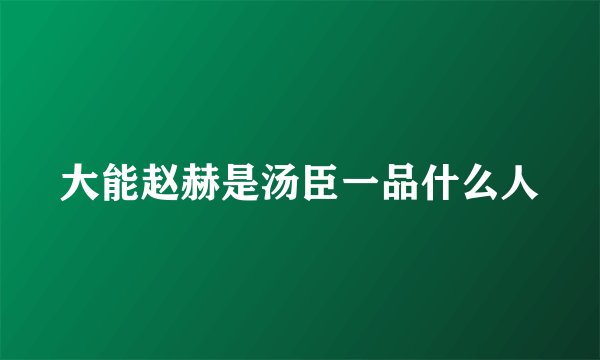 大能赵赫是汤臣一品什么人