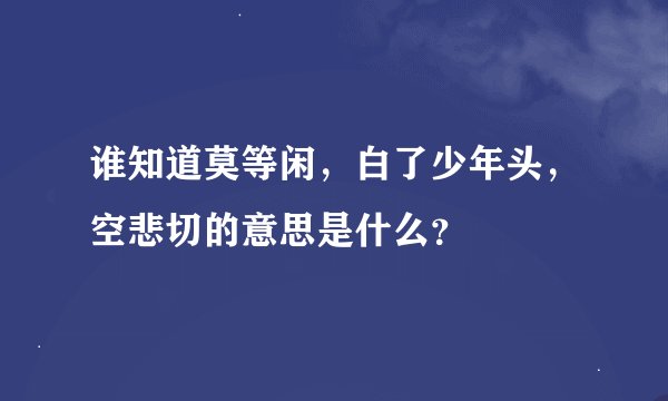 谁知道莫等闲，白了少年头，空悲切的意思是什么？