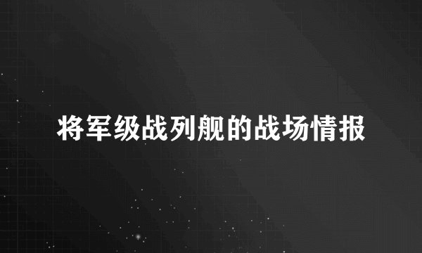 将军级战列舰的战场情报
