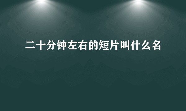 二十分钟左右的短片叫什么名