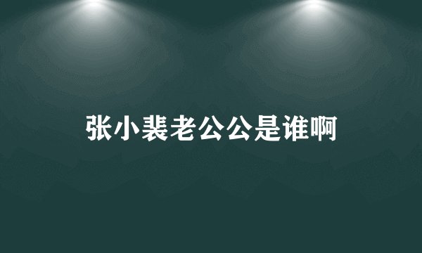 张小裴老公公是谁啊