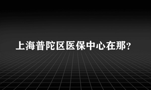 上海普陀区医保中心在那？