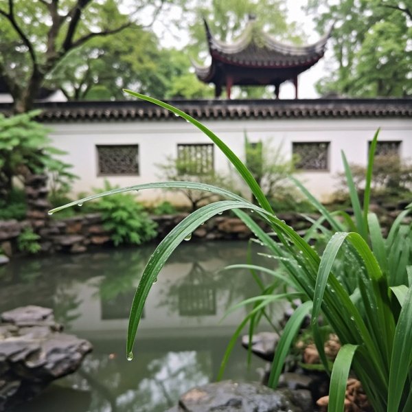 绛珠草是红楼梦里的谁蚂蚁庄园