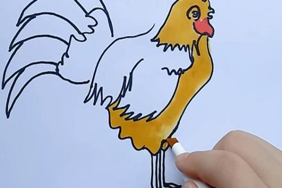 儿童画公鸡的简单画法