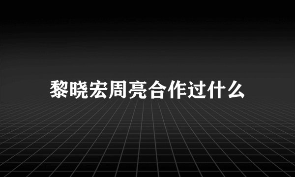 黎晓宏周亮合作过什么