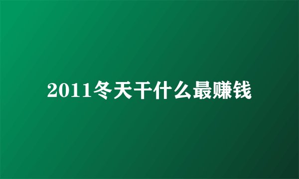 2011冬天干什么最赚钱