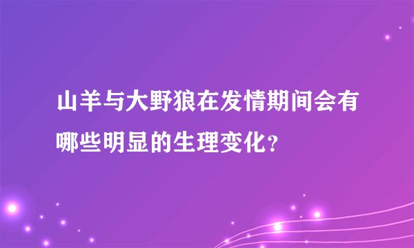 山羊与大野狼在发情期间会有哪些明显的生理变化？