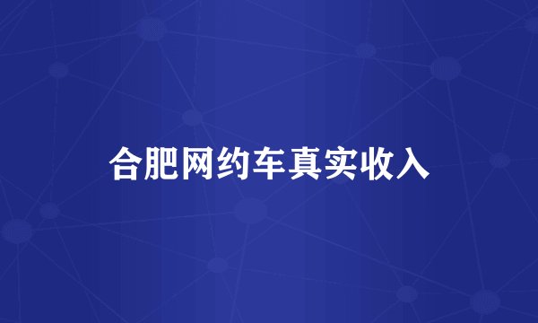 合肥网约车真实收入