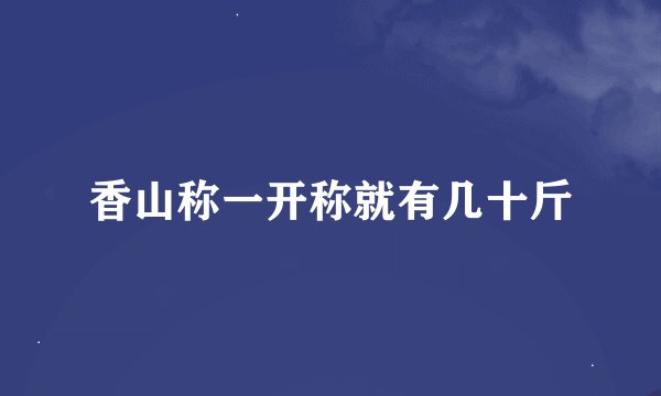 香山称一开称就有几十斤