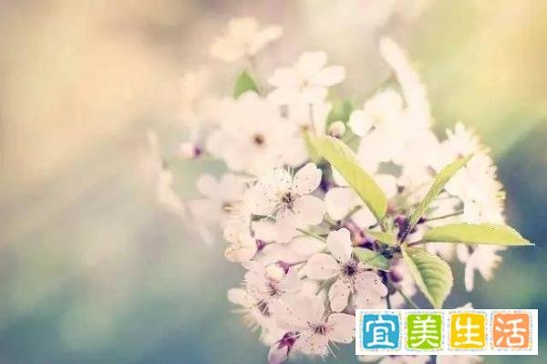 你的心态,决定你的状态