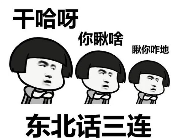 东北话十级经典语录