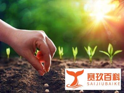 什么是「本质」,本质的本来是什么?