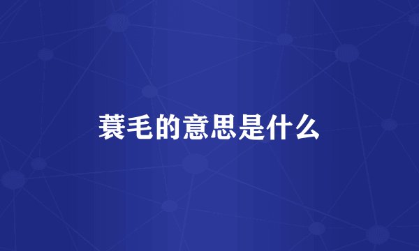 蓑毛的意思是什么