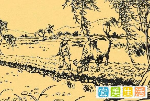 民间故事:龙生九子,各有不同,周家兄弟一奸一滑,结局令人叹息