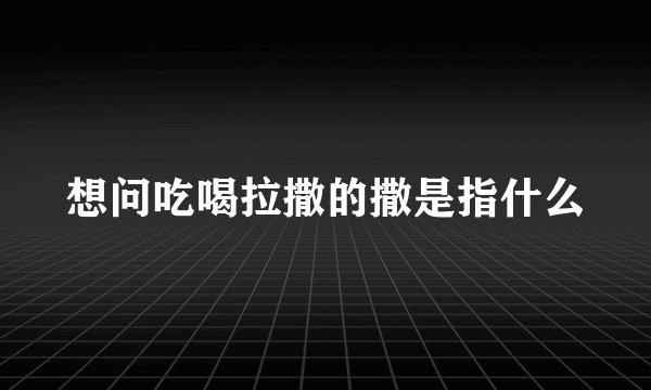 想问吃喝拉撒的撒是指什么