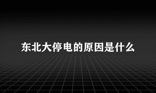 东北大停电的原因是什么