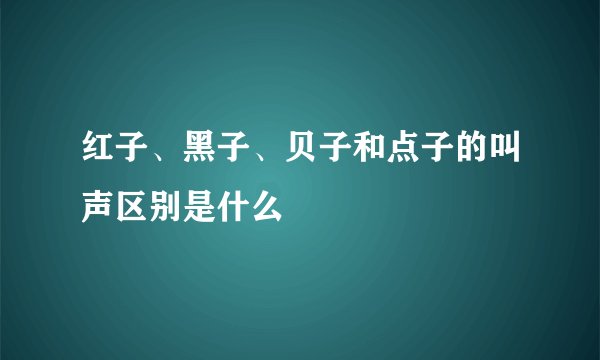红子、黑子、贝子和点子的叫声区别是什么