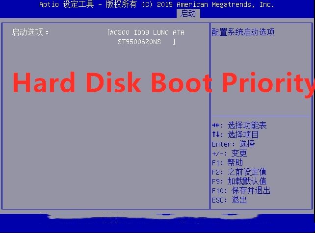 请翻译Hard Disk Boot Priority
