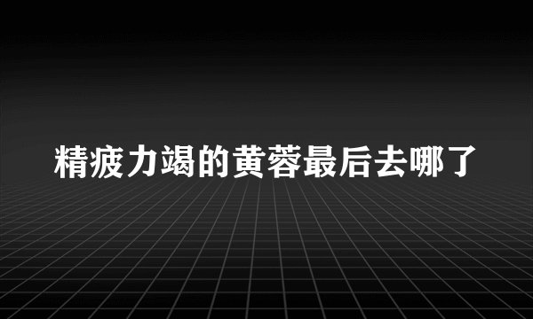 精疲力竭的黄蓉最后去哪了