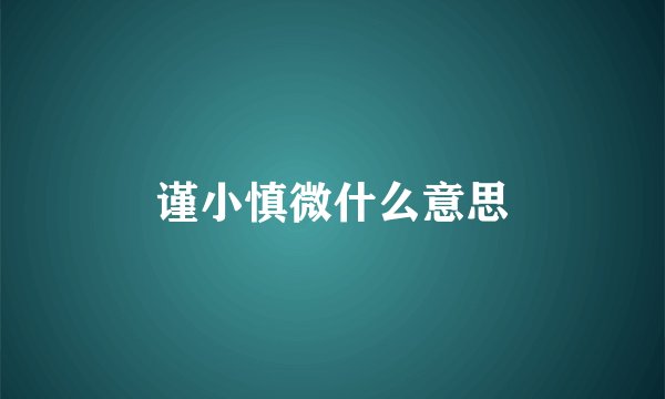 谨小慎微什么意思