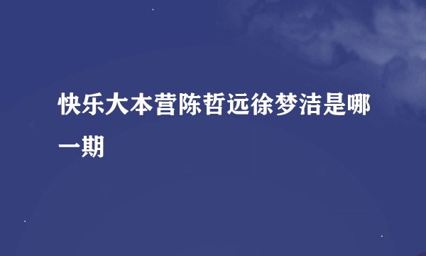 快乐大本营陈哲远徐梦洁是哪一期