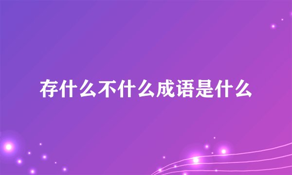 存什么不什么成语是什么