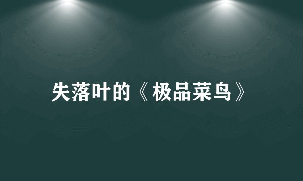 失落叶的《极品菜鸟》