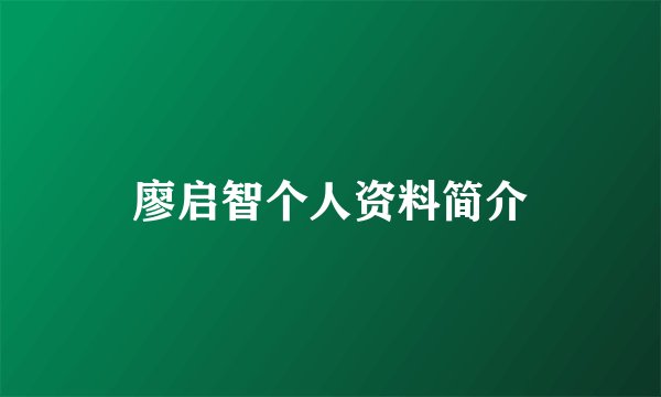 廖启智个人资料简介