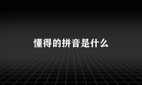 懂得的拼音是什么