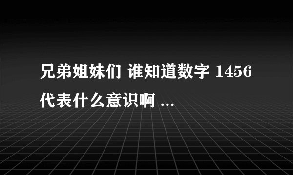 兄弟姐妹们 谁知道数字 1456 代表什么意识啊 应该是代表爱情的