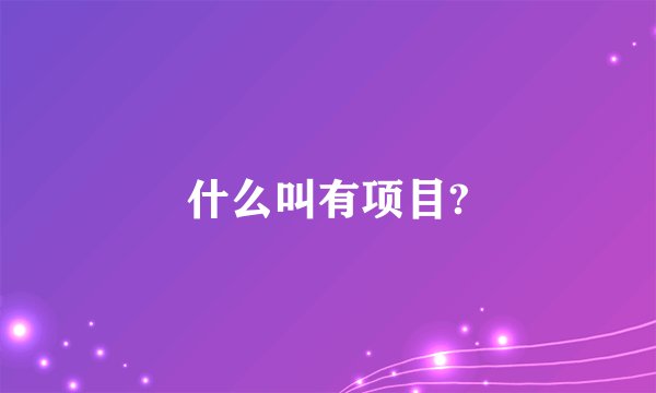 什么叫有项目?