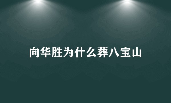 向华胜为什么葬八宝山