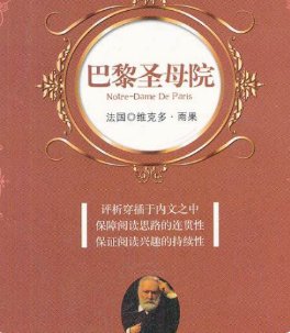 巴黎圣母院的简要介绍。