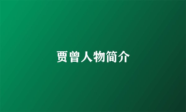 贾曾人物简介