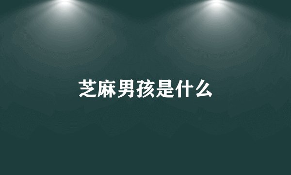 芝麻男孩是什么