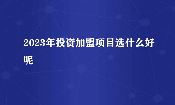 2023年投资加盟项目选什么好呢