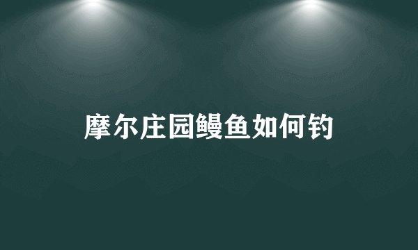 摩尔庄园鳗鱼如何钓