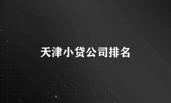 天津小贷公司排名