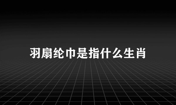 羽扇纶巾是指什么生肖