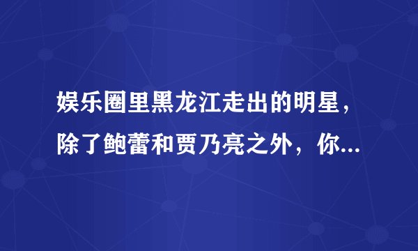 娱乐圈里黑龙江走出的明星，除了鲍蕾和贾乃亮之外，你还知道谁呢？