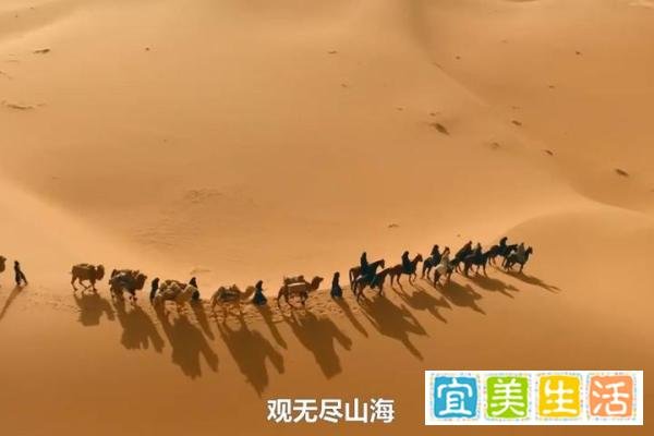 《珠帘玉幕》大结局：没有意外和反转，燕子京太惨，端午太苦