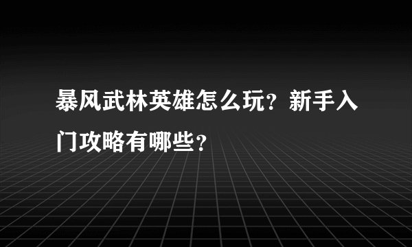 暴风武林英雄怎么玩？新手入门攻略有哪些？