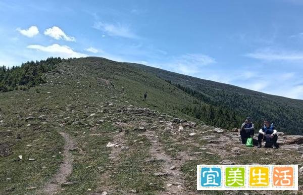我的文学路
