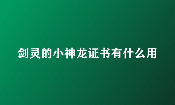 剑灵的小神龙证书有什么用