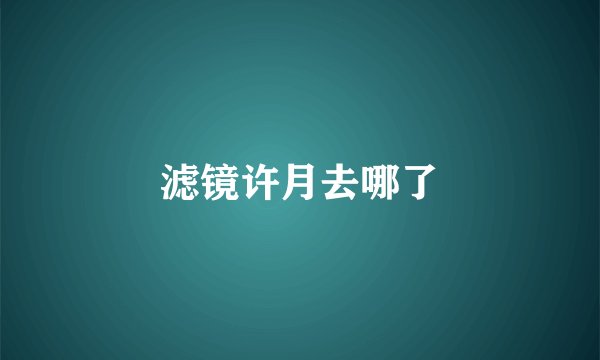 滤镜许月去哪了