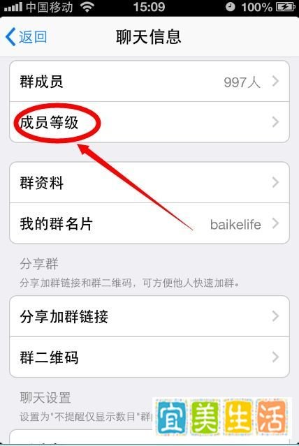 手机QQ如何查看群成员等级？