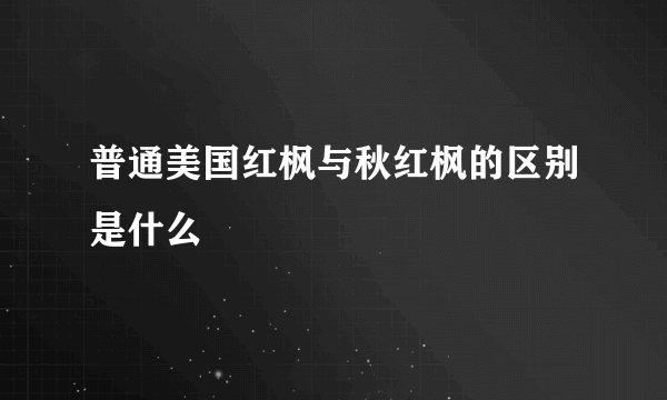 普通美国红枫与秋红枫的区别是什么